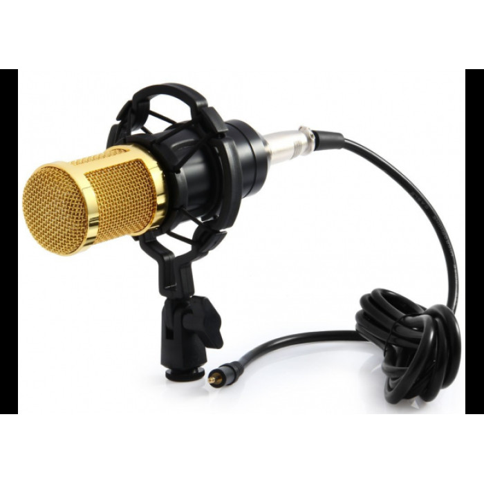 Мікрофон DM 800