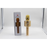 Мікрофон DM Karaoke YS 66