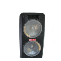 Портативна колонка Su-Kam 1010 2 мікрофони з BT 12v/220v