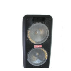 Портативна колонка Su-Kam 1010 2 мікрофони з BT 12v/220v