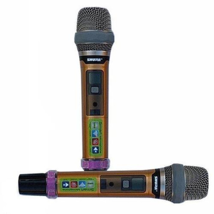 Мікрофон DM UG-X10 II Shure