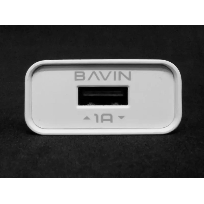 Зарядний пристрій 220 В 1,0 А з кабелем USB — micro USB BAVIN PC508Y-V8