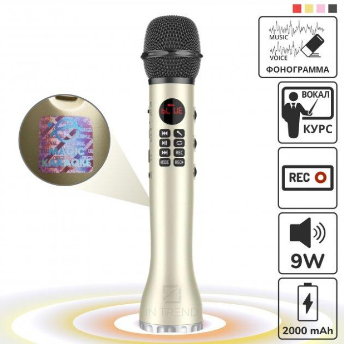 Мікрофон бездротовий L598