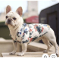 Одяг для тварин