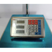 Ваги ACS 300kg-350kg 40*50 Domotec 6V з залізною головою