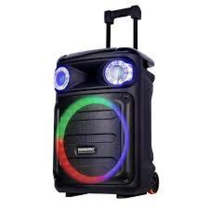 Портативна акустична система Temeisheng TMS-1515