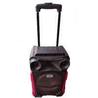 Портативна акустична система Temeisheng TMS-1515