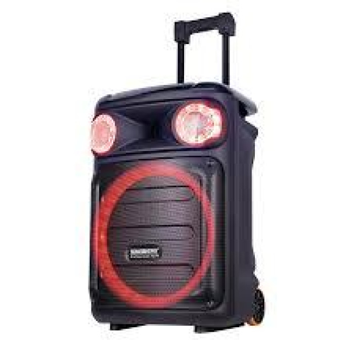 Портативна акустична система Temeisheng TMS-1515