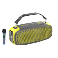 Портативная колонка Hopestar A30 PRO