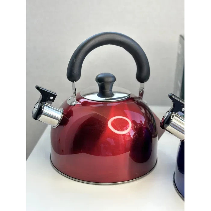 Чайник зі свистком Rainberg RB-625 3L