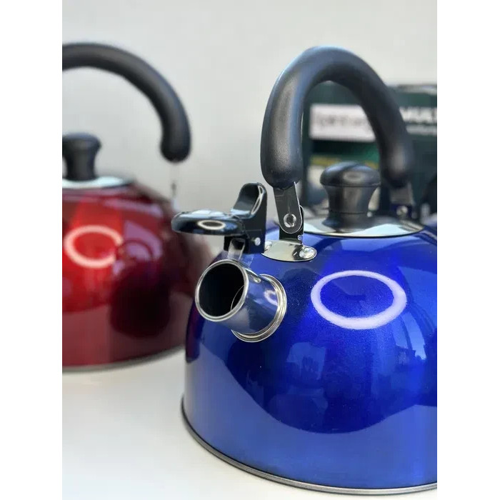 Чайник зі свистком Rainberg RB-625 3L