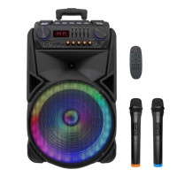 Акустическая портативная колонка TMS-012 2 микрофона