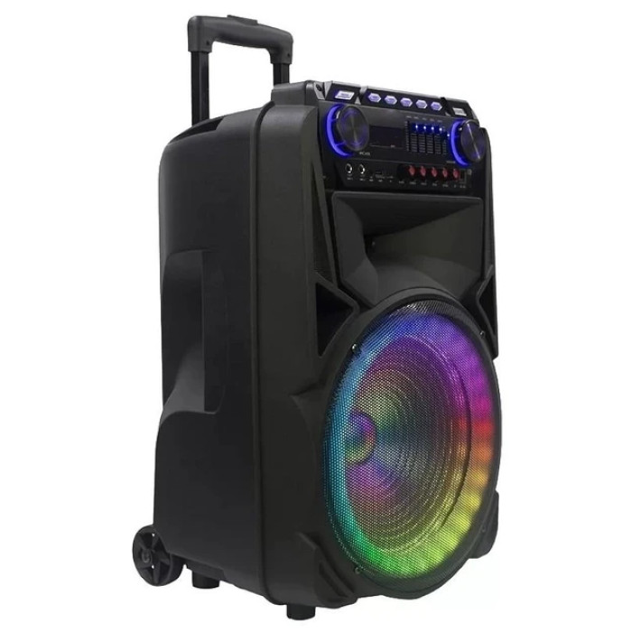 Акустическая портативная колонка TMS-012 2 микрофона