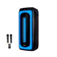 Акустична портативна колонка TMS 808 2 мікрофони