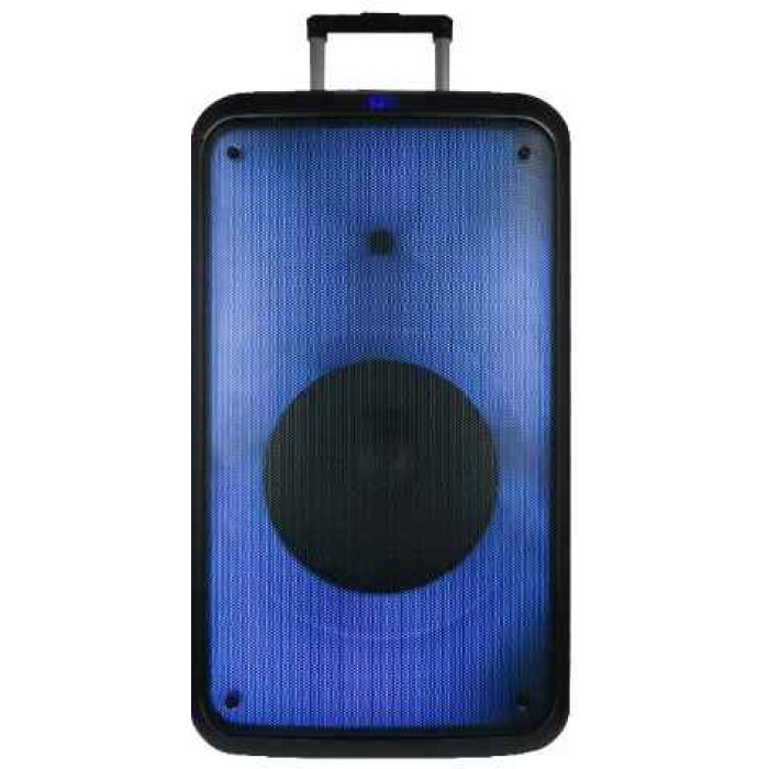 Акустическая колонка Temeisheng 1215-02 один микрофон