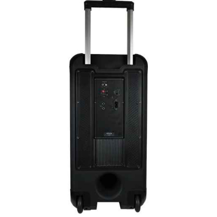 Акустическая колонка Temeisheng 1215-02 один микрофон