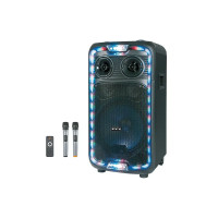 Акустическая колонка ZXX-1290