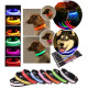 Світний нашийник для собак на акумуляторі USB GLOW RING