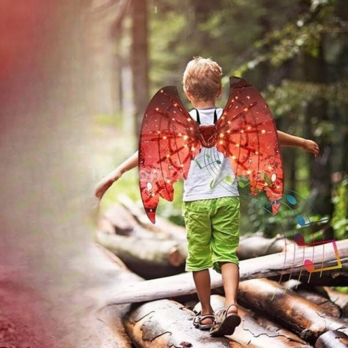 Крила з підсвіткою Shadow Angel No2