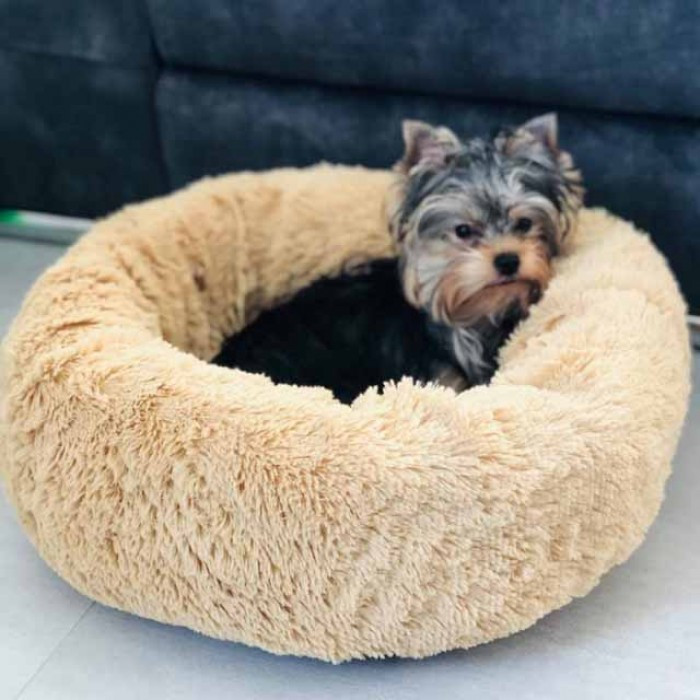 Лежанка пухнастик для котів і собак глибока. Діаметр — 50 см 622-11