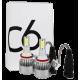 Автомобільні LED-лампи C6-H11
