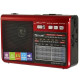 Радиоприемник GOLON RX1313, LED, 3W, AM/FM