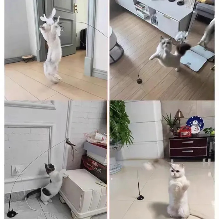 Інтерактивна іграшка для кішок на присоску AND 5645