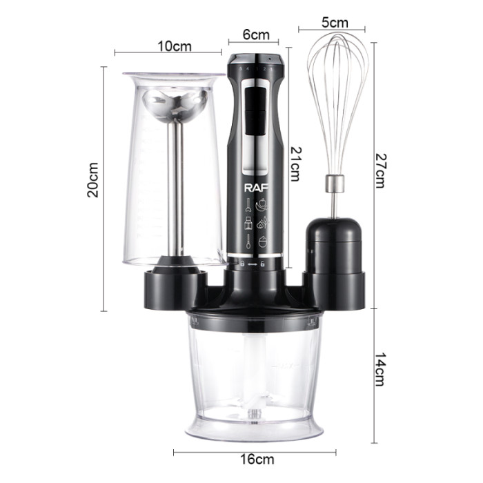 Блендер заглибний 4 в 1 RAF R.3010