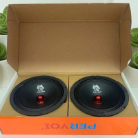 Динамики 6,5 дюйма Сопряжение с рупором PERVOI CTC-1682