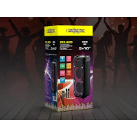 Акустическая колонка ZXX-6510