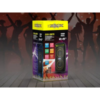 Акустическая колонка ZXX-5570