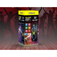 Акустическая колонка ZXX-5580