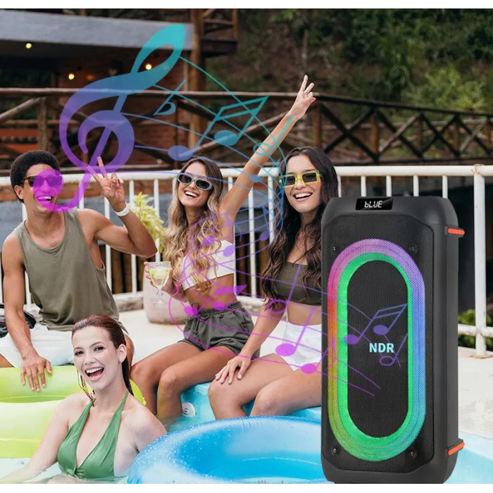 Акустична колонка NDR-717