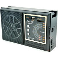 Радіоприймач Golon RX 98