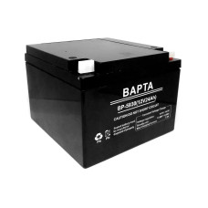 Аккумуляторная батарея BAPTA 12В 24Ач 176х166х125 BP-5930