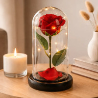 Роза в колбе с LED подсветкой AND 5456