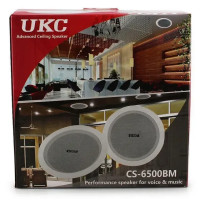 Стельові динаміки (колонки) CS 6500